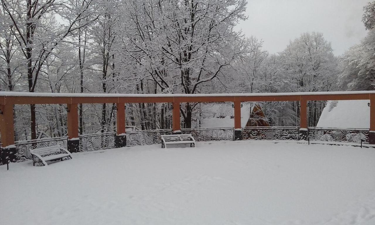 Zatyshok Hotel Svaliava Buitenkant foto