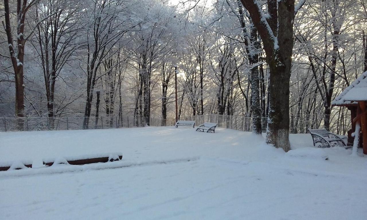 Zatyshok Hotel Svaliava Buitenkant foto
